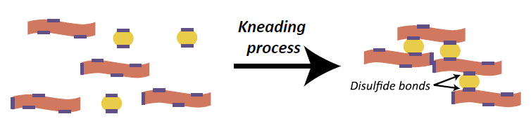 Partenero Acti-Pro diagram